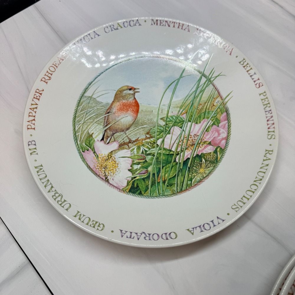 Vintage Marjolein Bastin Wildflower Meadow Bird Dinner Plates Set of 4